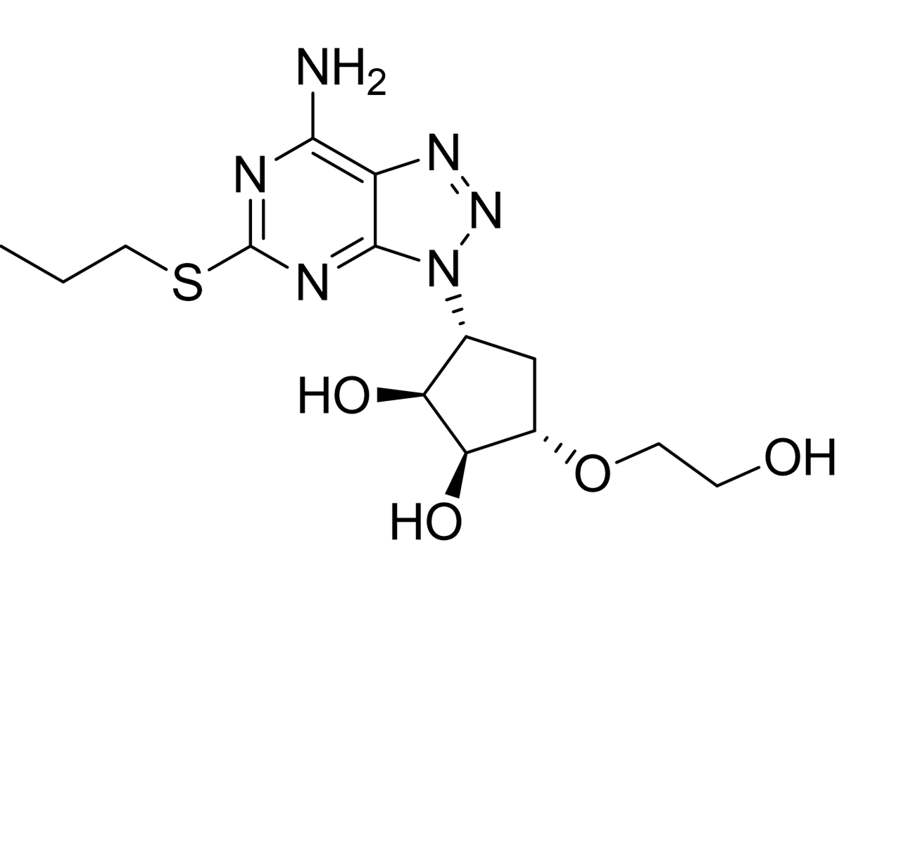 Slide 1.GIF