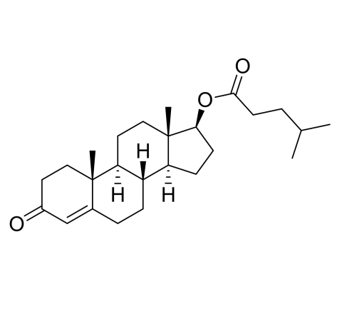 Testosterone isocaproate_STD