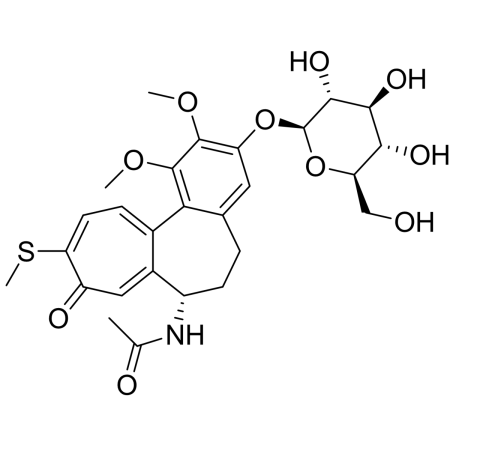 Slide 1.GIF