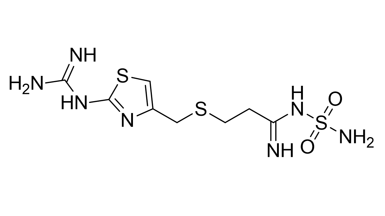 Famotidine Standard