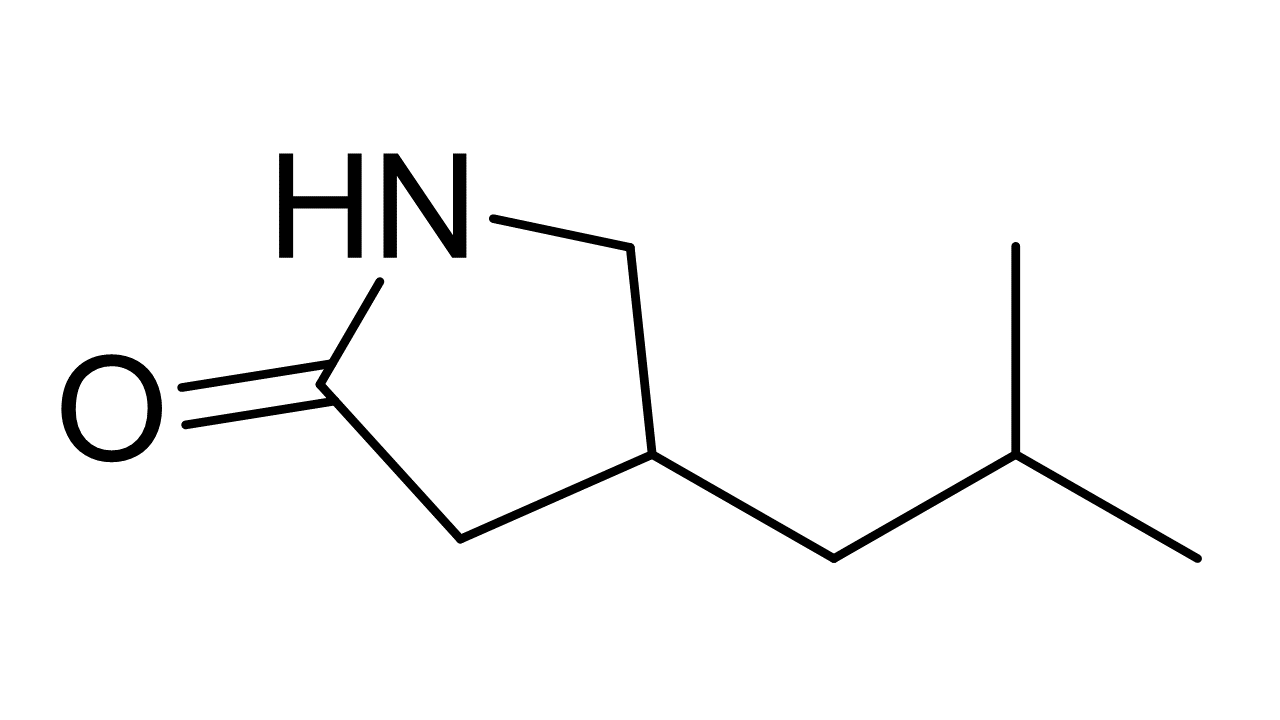 Pregabalin Lactam