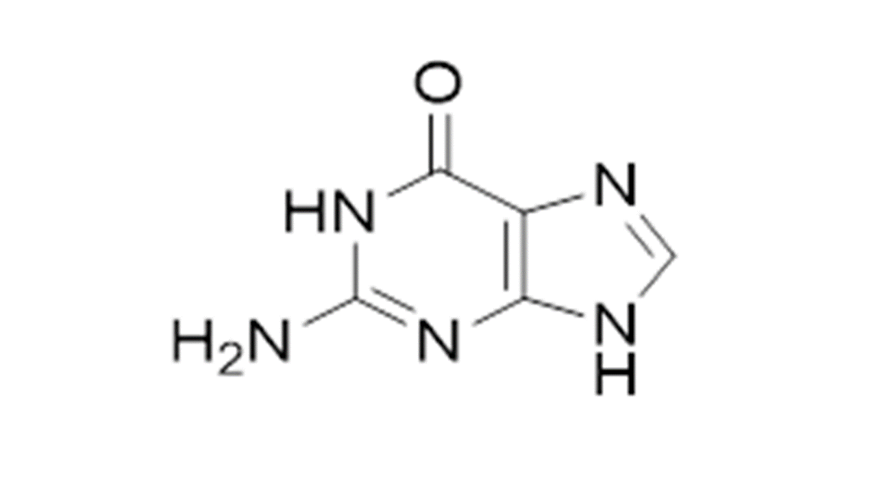 Slide 1.GIF