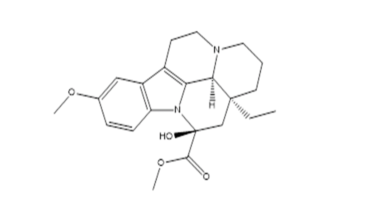 Slide 1.GIF