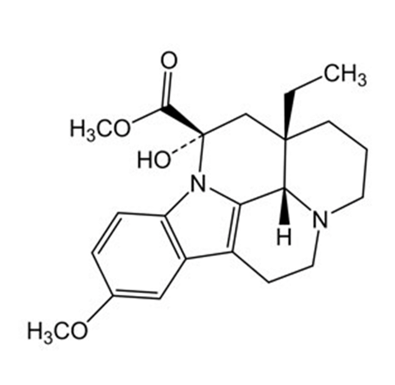Slide 1.GIF