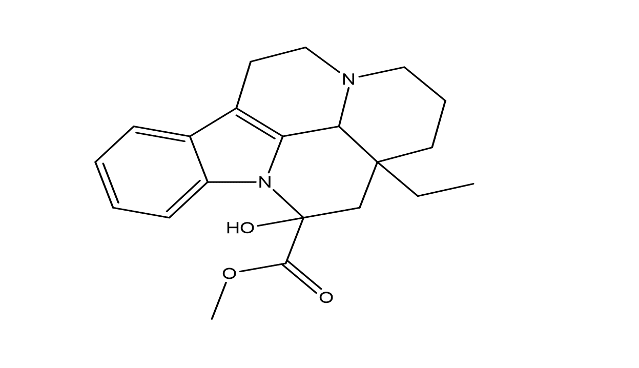 Slide 1.GIF