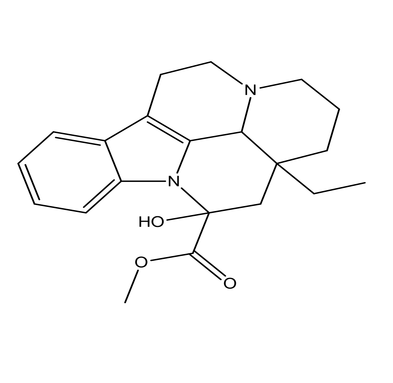 Slide 1.GIF