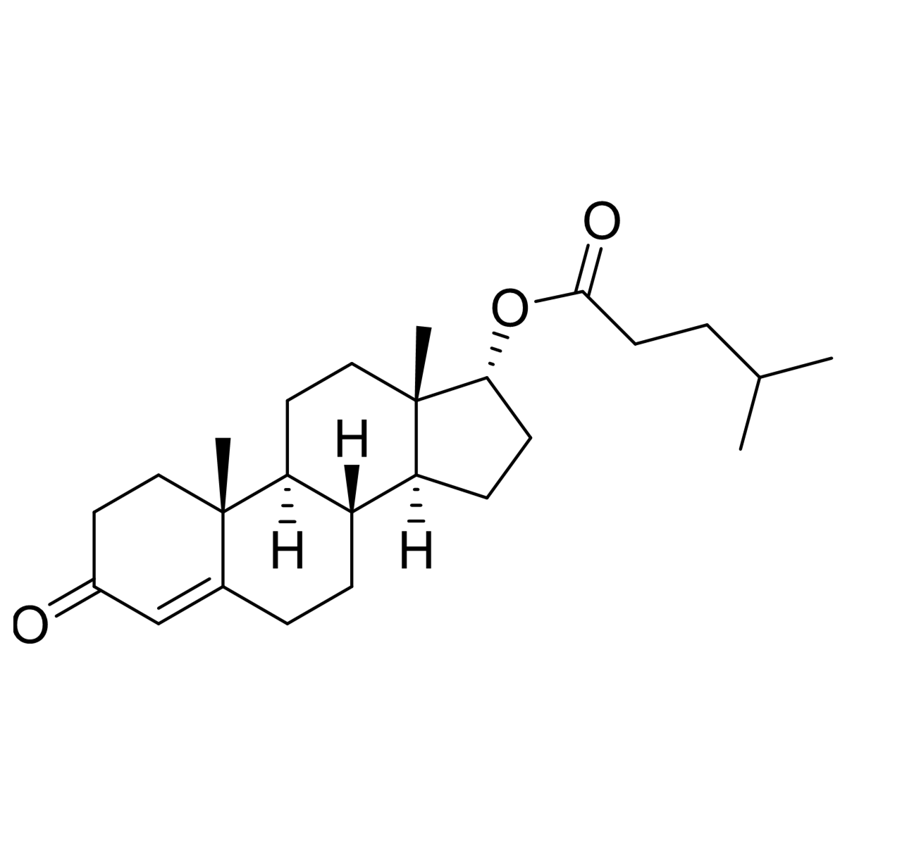 Slide 1.GIF