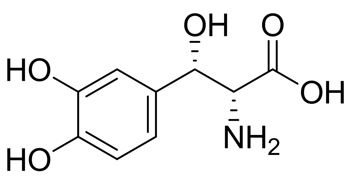 slide.1