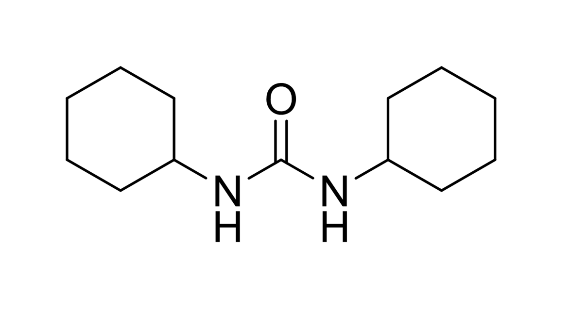 slide.1