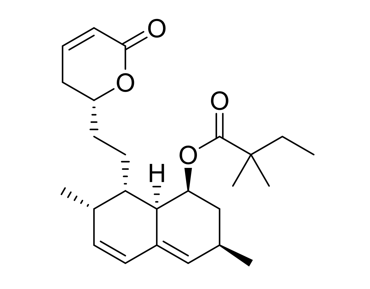 slide.1