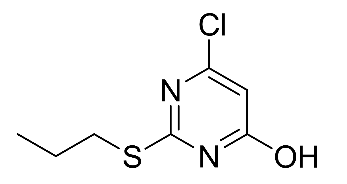 slide.1