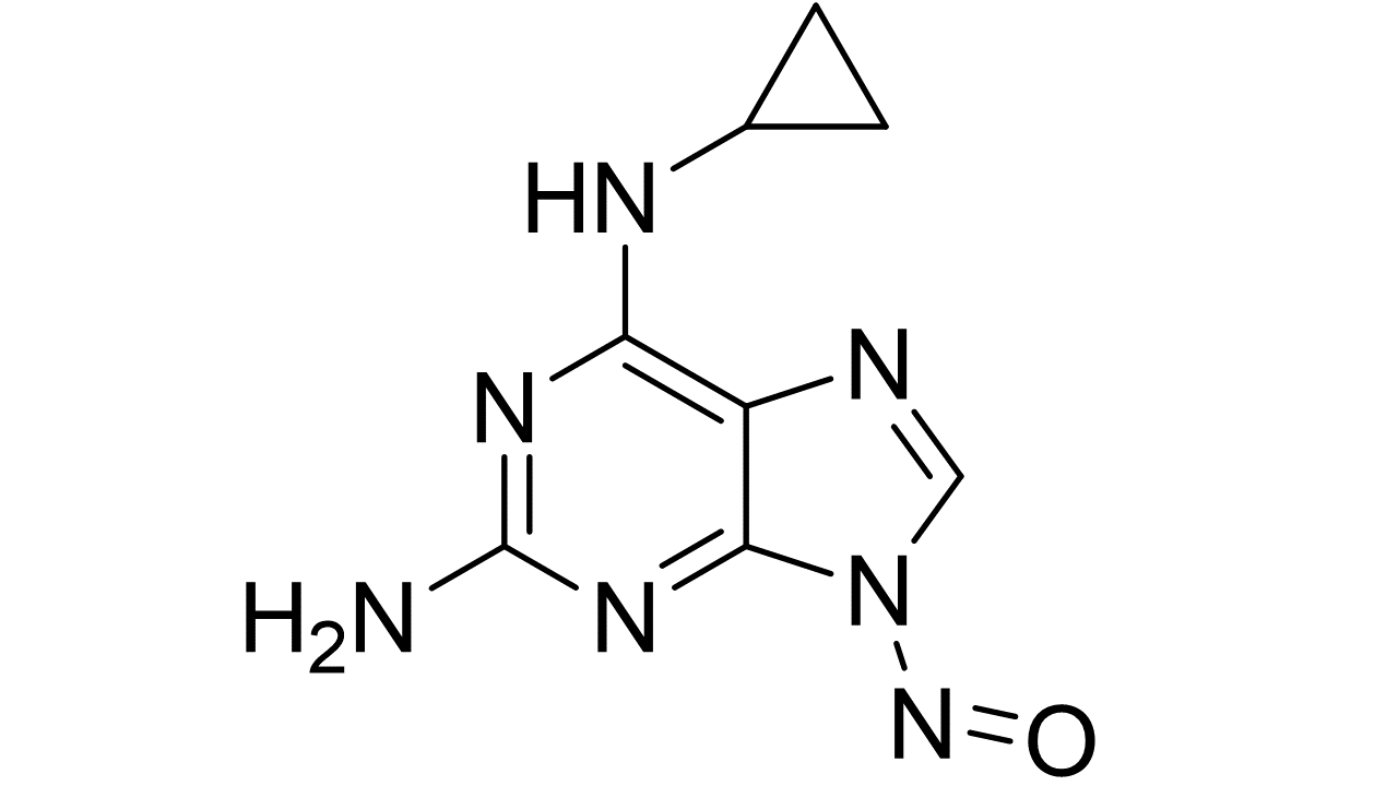 slide_1