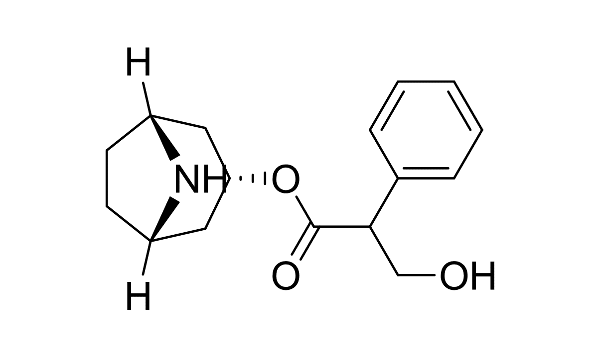 Slide_1