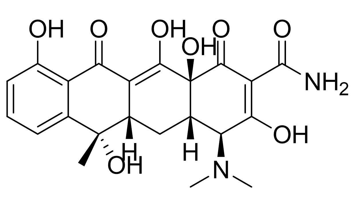 slide.1