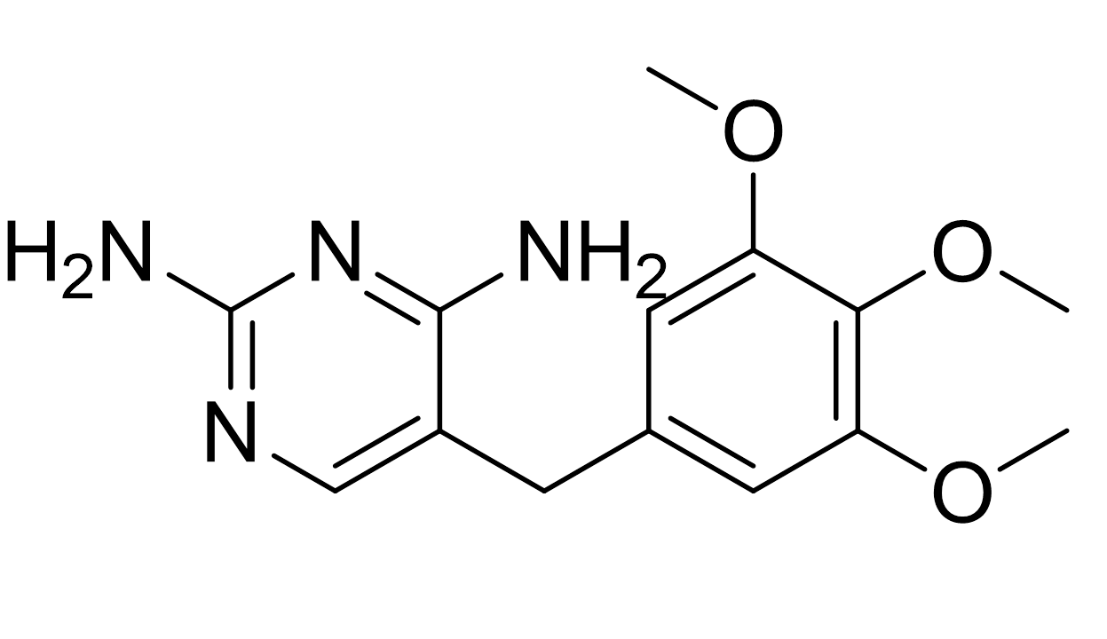 slide.1