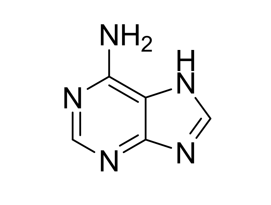 slide_1