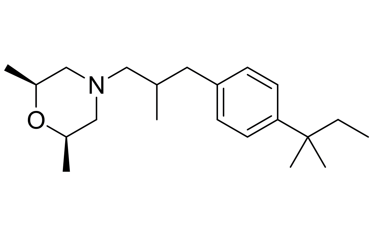 Slide_1