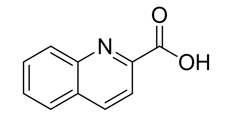 Slide_1