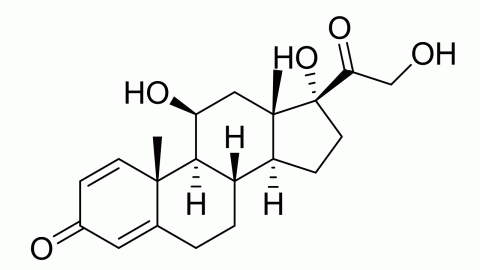  Prednisolone Standard