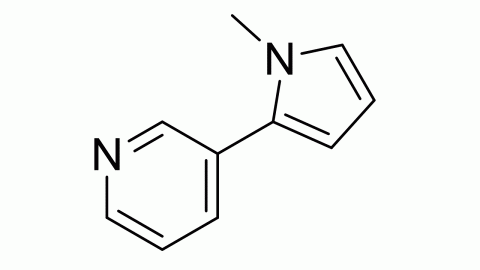 Nicotine EP Impurity B