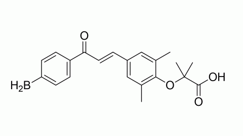 2412096-11-6