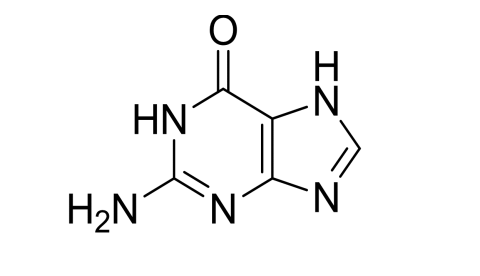 Slide 1.GIF