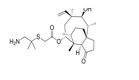 Slide 1.GIF