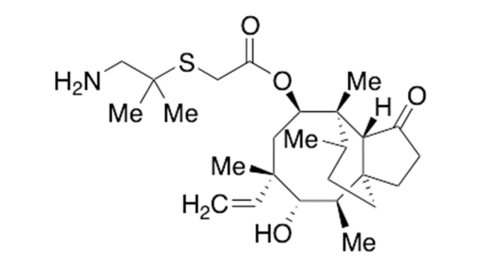 Slide 1.GIF
