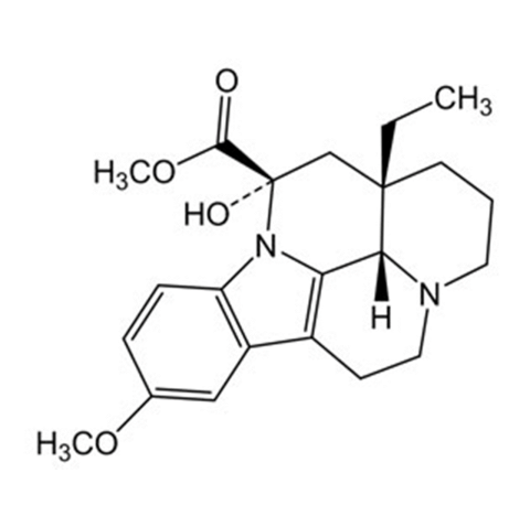 Slide 1.GIF