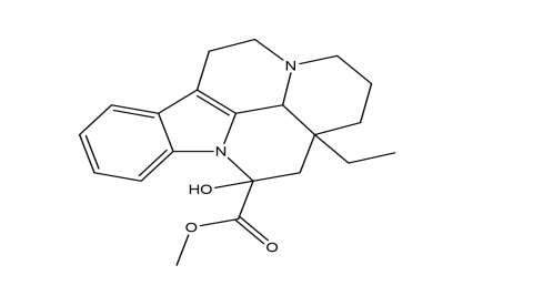 Slide 1.GIF