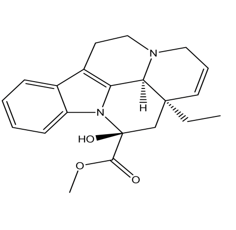 Slide 1.GIF