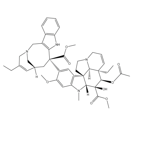 Slide 1.GIF