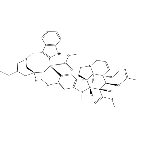 Slide 1.GIF