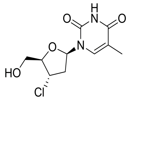 Slide 1.GIF