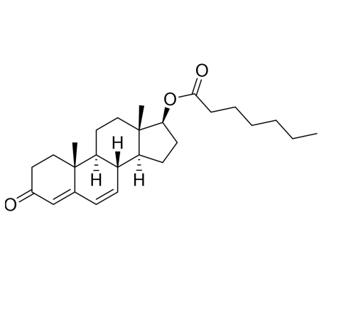 Slide 1.GIF
