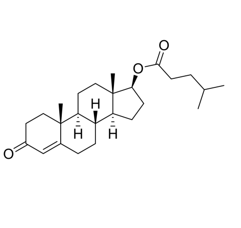 Slide 1.GIF