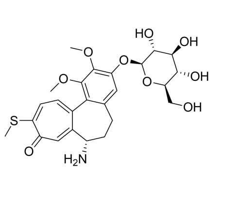Slide 1.GIF