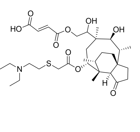 Slide 1.GIF