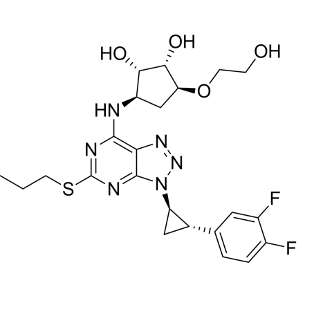 Slide 1.GIF
