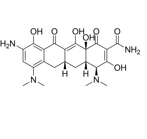 Slide 1.GIF