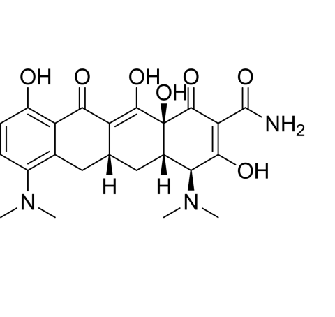 Slide 1.GIF