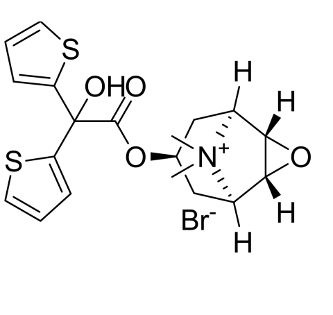 Slide 1.GIF