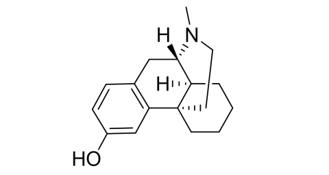 slide.1
