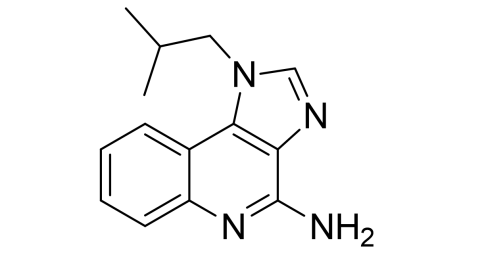 slide.1