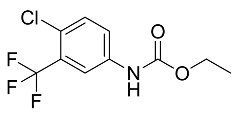 slide.1