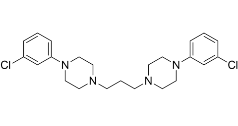 slide.1