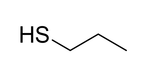slide.1