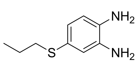 slide.1
