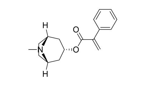 Slide_1