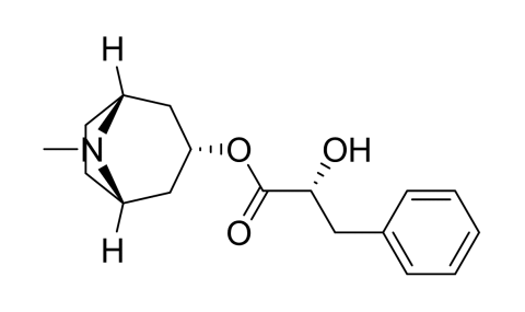 Slide_1